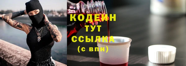 прущая мука Корсаков