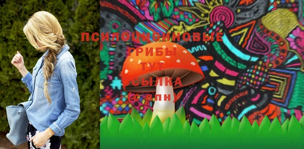прущая мука Корсаков