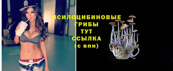 прущая мука Корсаков