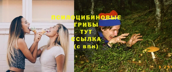 бутират Коряжма