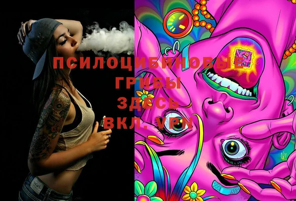 прущая мука Корсаков