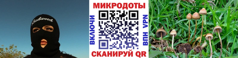 Галлюциногенные грибы ЛСД  Армавир 